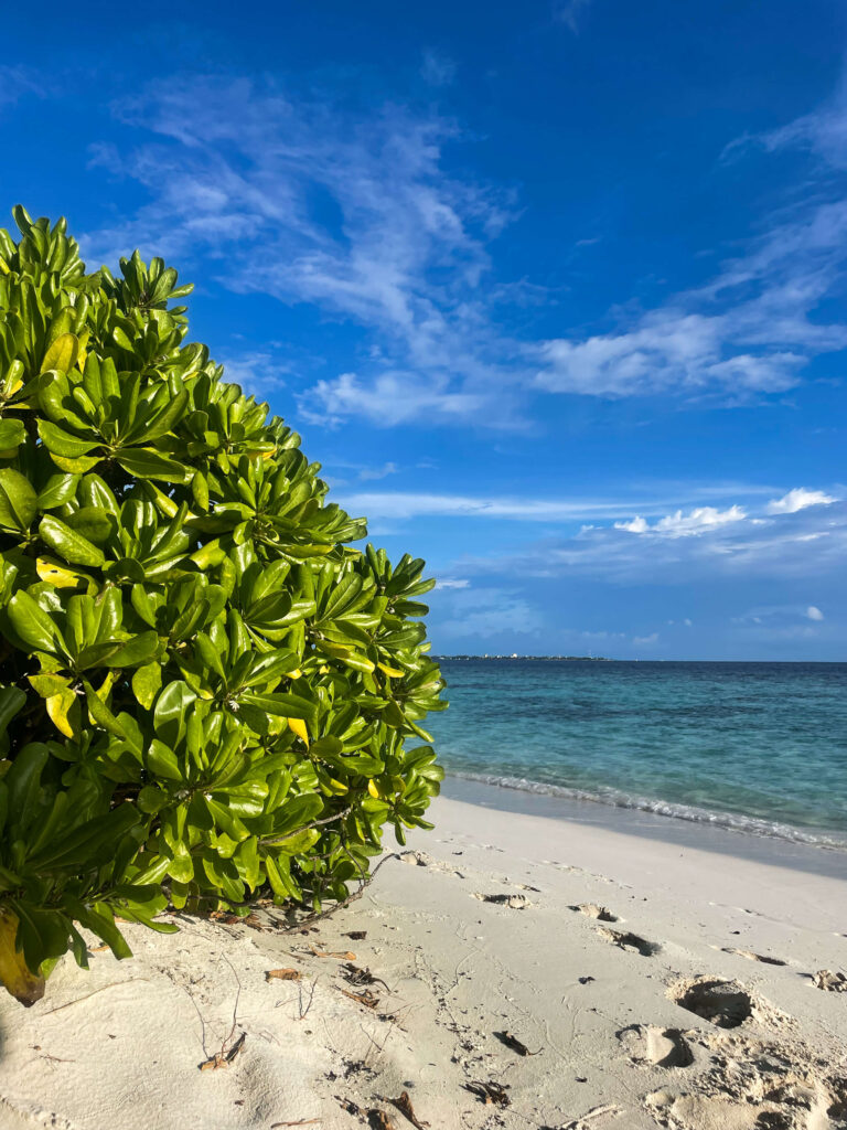 Solo travel in the Maldives Omadhoo local island