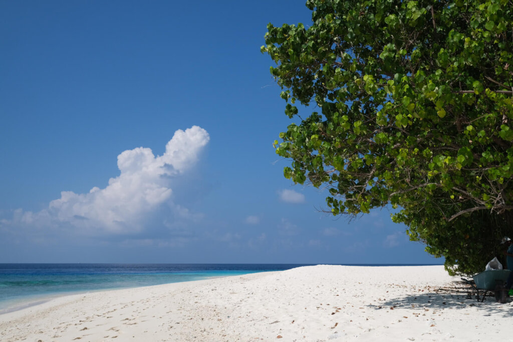 Local islands Maldives Ukulhas